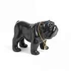 Wargenbrant Superstar Bulldog