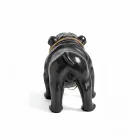 Wargenbrant Superstar Bulldog